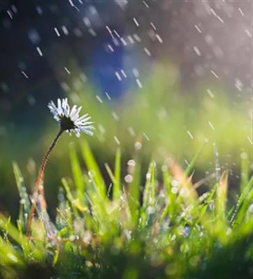 [原创]《要下雨了》教学课件