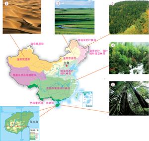 图5-21 我国陆地自然带分布