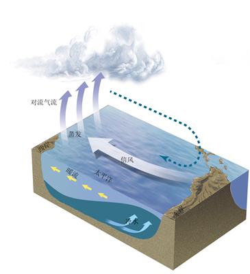 图4-24 正常情况下的海—气相互作用示意
