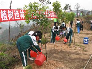植树造林