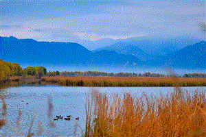 北京野鸭湖国家湿地公园-图片素材