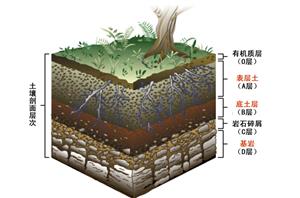 土壤层次示意图