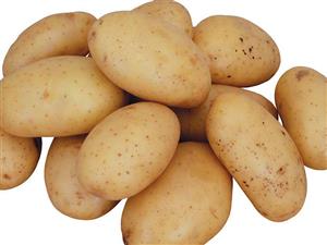 适合生长在砂质土的作物——土豆