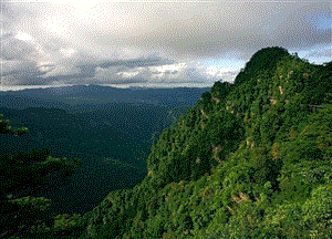 井冈山国家级自然保护区-图片素材