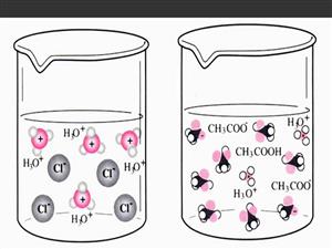 强弱电解质的电离1