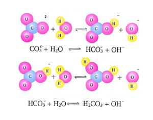 碳酸跟和碳酸氢根离子的水解平衡